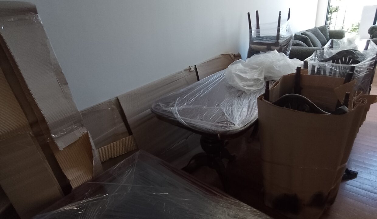 IMG_20230106_102951_MP